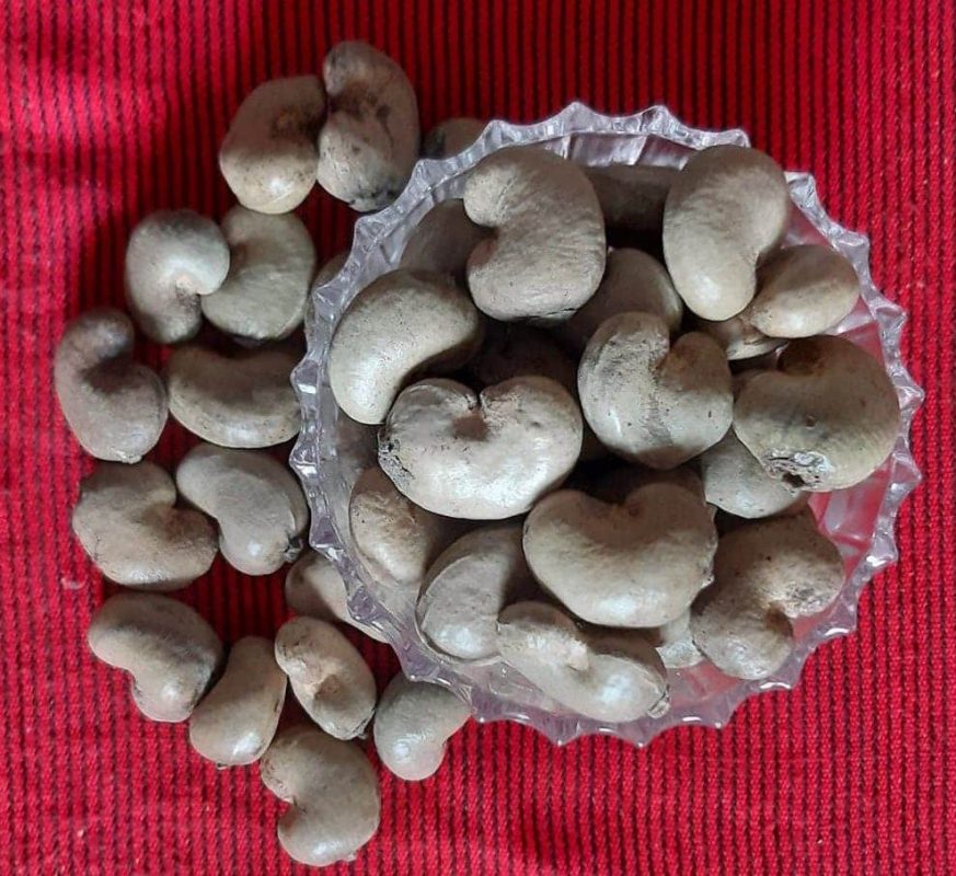 Cashewnut Shell কাজুবাদাম শেল